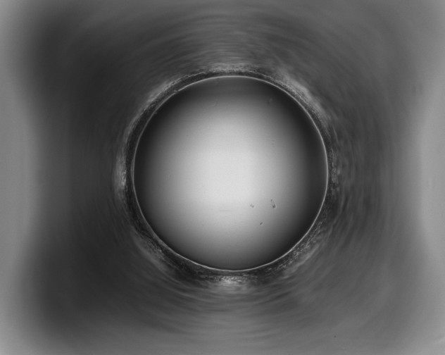 X0000100310060200806051504