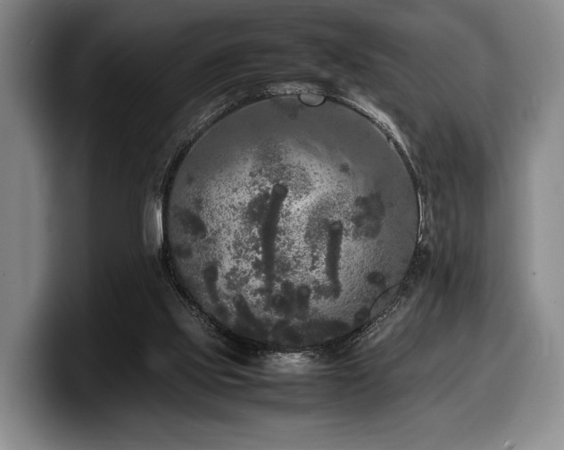 X0000100310061200806051504