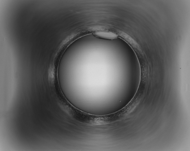 X0000100310064200806051504