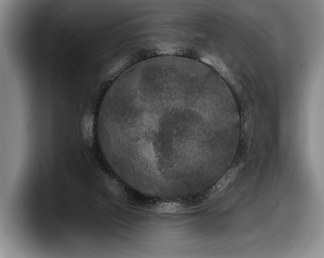 X0000100310066200806051505