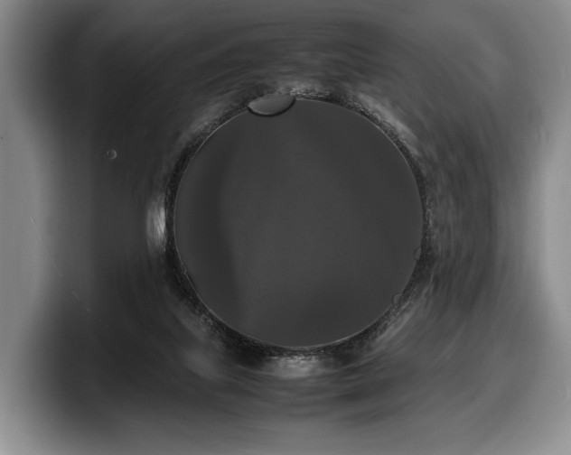 X0000100310067200806051505