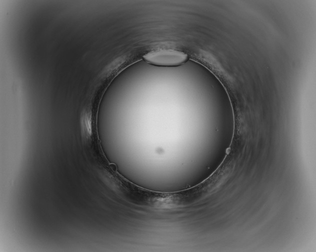 X0000100310068200806051505
