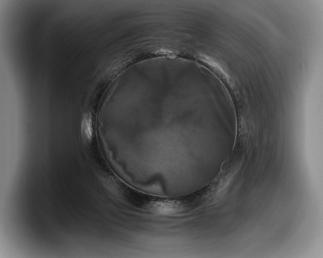 X0000100310069200806051505