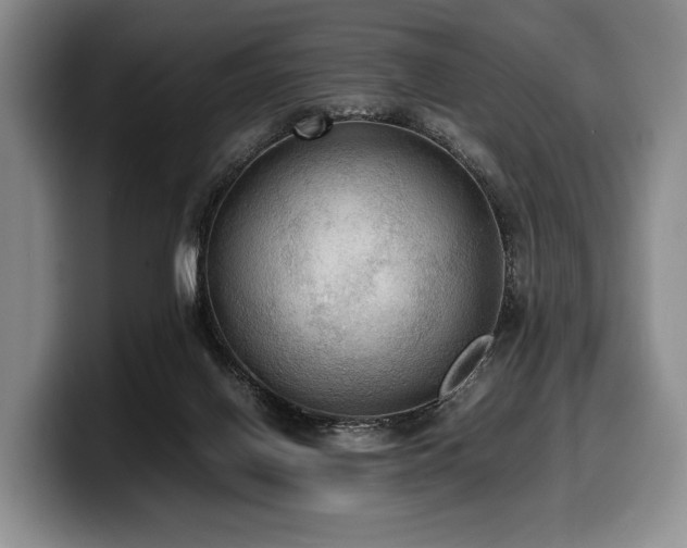 X0000100310070200806051505
