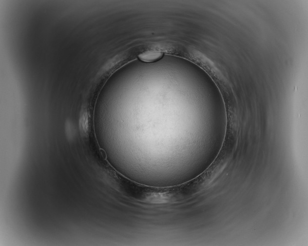 X0000100310071200806051505
