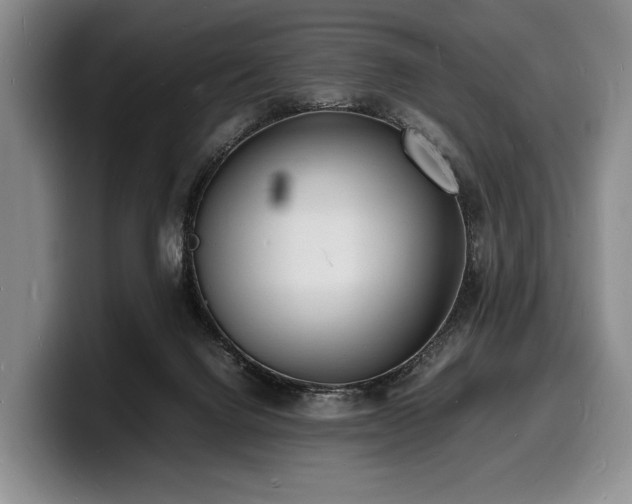 X0000100310072200806051505