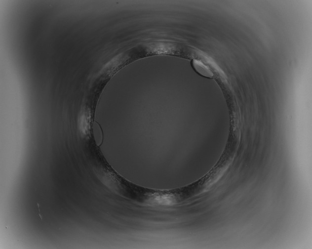 X0000100310073200806051505
