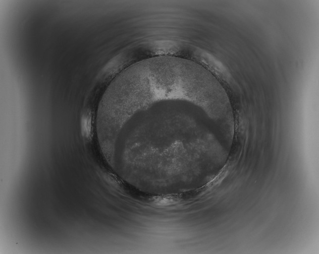 X0000100310074200806051505