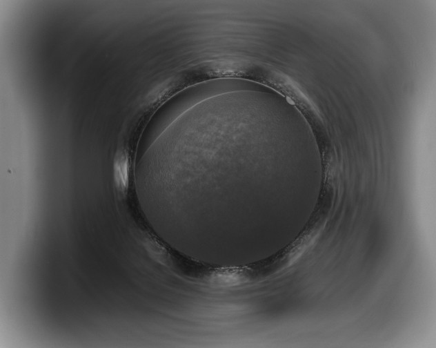 X0000100310076200806051505