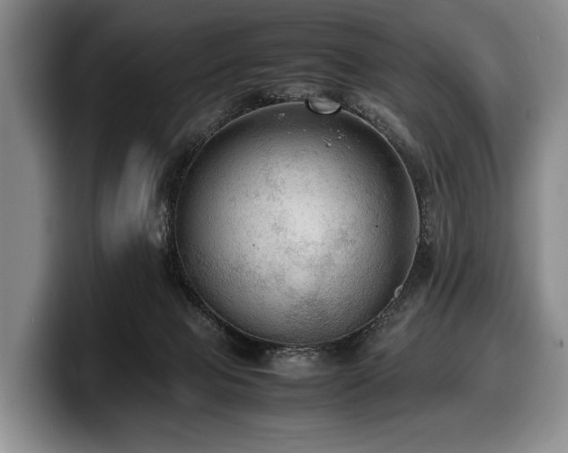 X0000100310077200806051505
