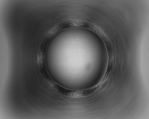 X0000100310078200806051505