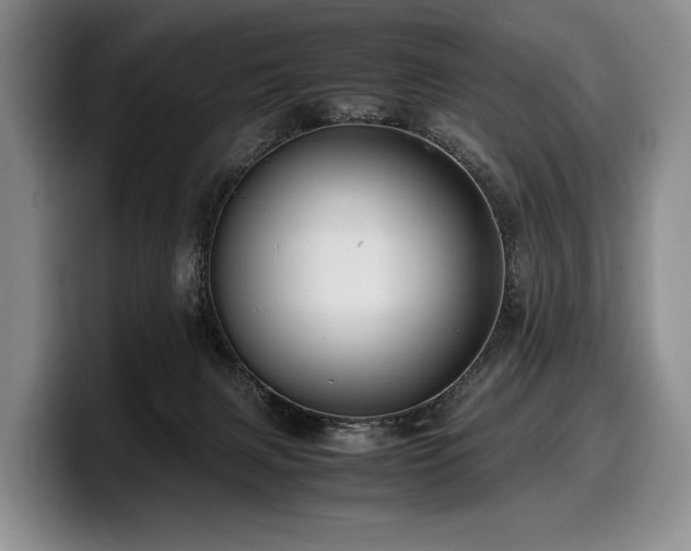 X0000100310079200806051505