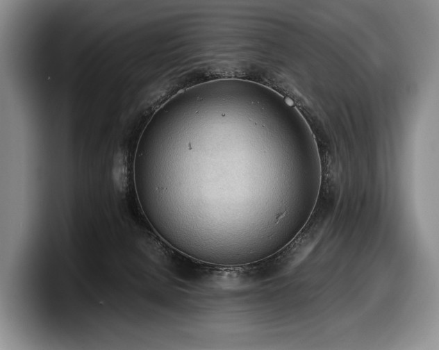 X0000100310080200806051505