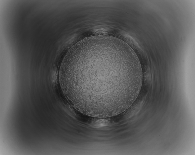 X0000100310081200806051505