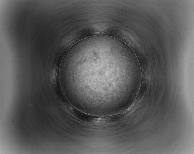 X0000100310082200806051505