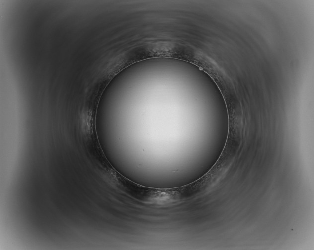 X0000100310083200806051505