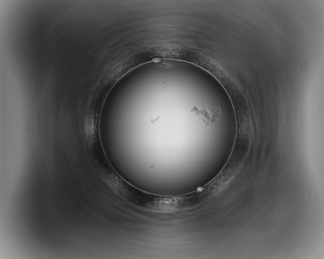X0000100310084200806051505