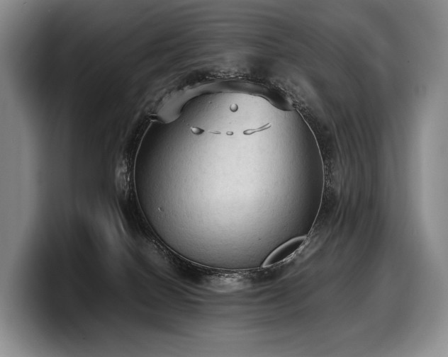 X0000100310086200806051505