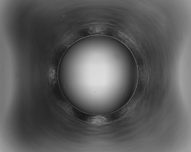 X0000100310087200806051505