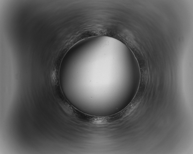 X0000100310088200806051505