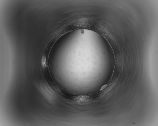 X0000100310089200806051505