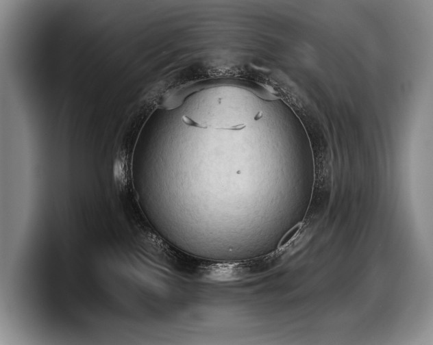 X0000100310090200806051505
