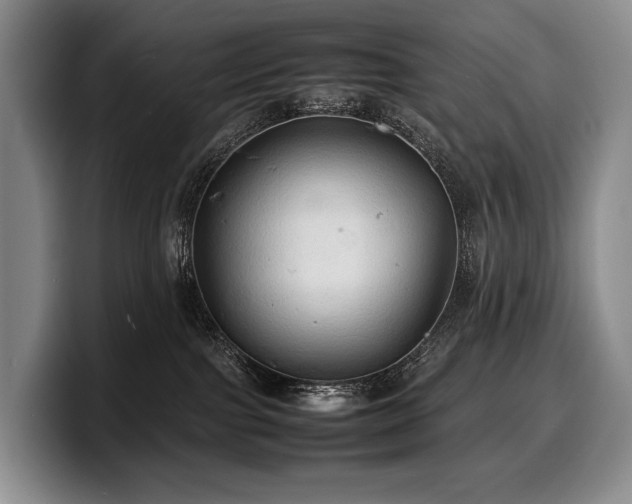 X0000100310091200806051505