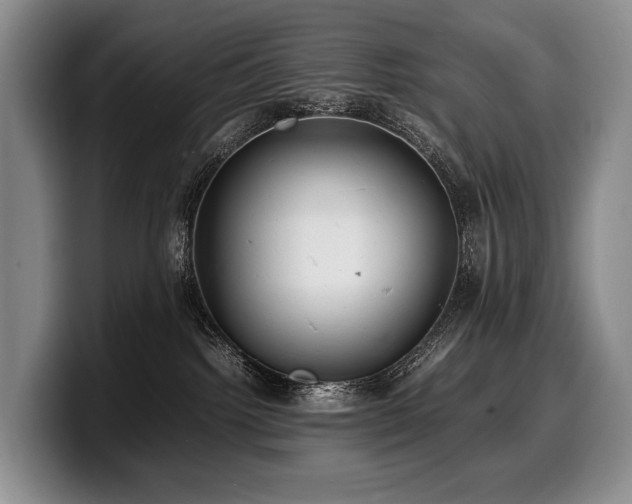 X0000100310092200806051505