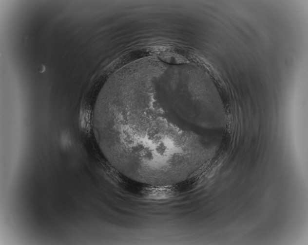 X0000100310093200806051505