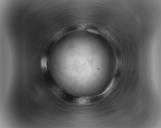 X0000100310094200806051505