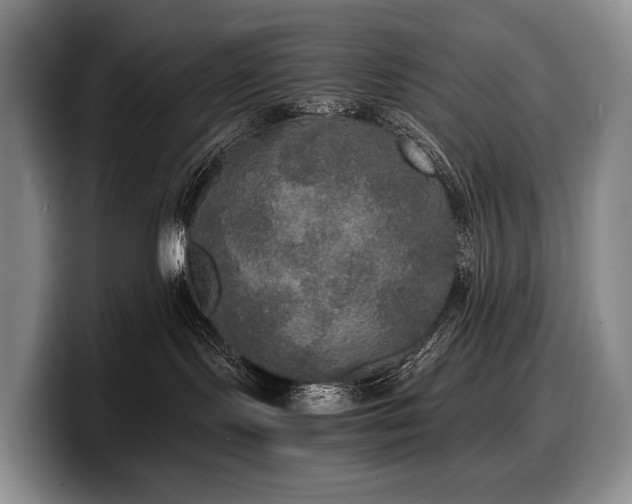 X0000100310095200806051505