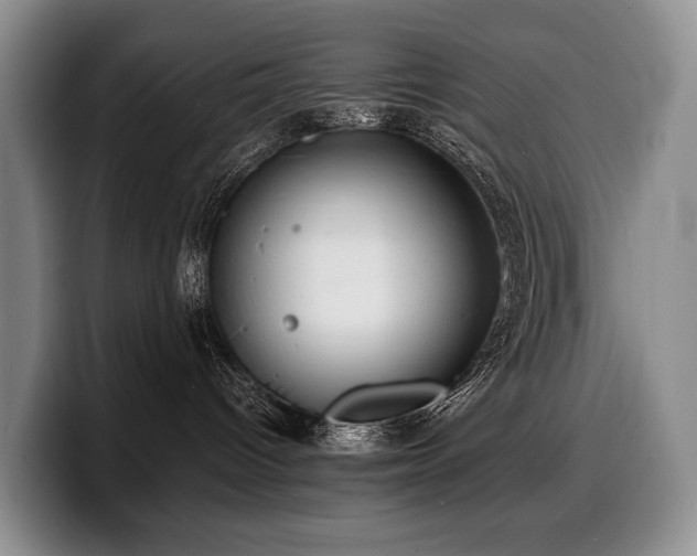 X0000100310096200806051505