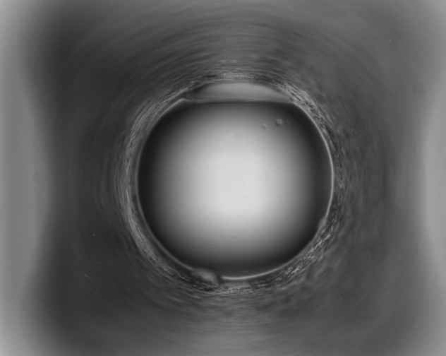 X0000100310097200806051504