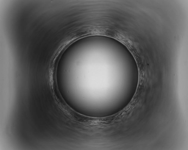 X0000100310098200806051504