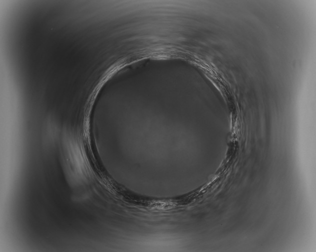 X0000100310099200806051504