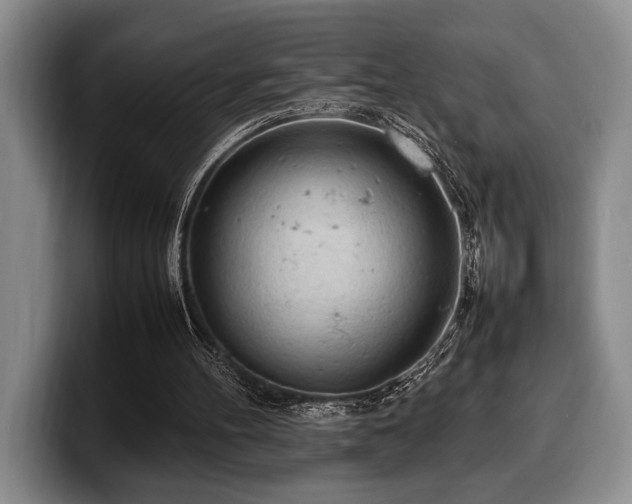 X0000100310100200806051504