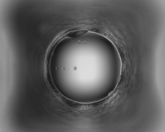 X0000100310101200806051504