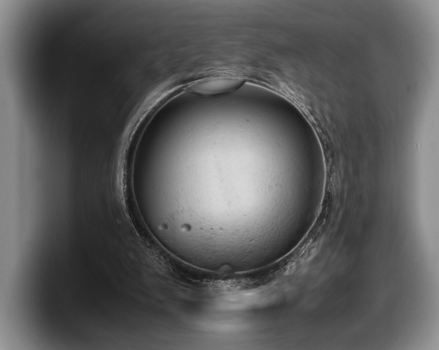 X0000100310103200806051504