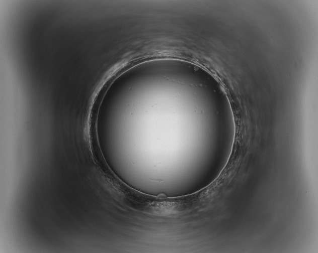 X0000100310104200806051504