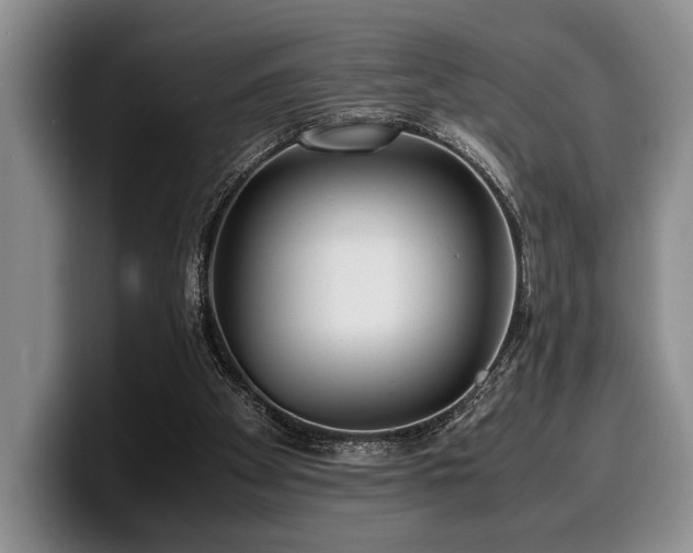 X0000100310105200806051504