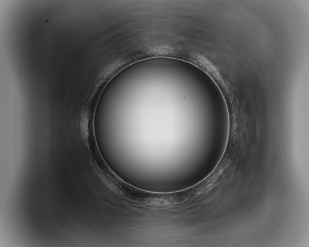 X0000100310106200806051504