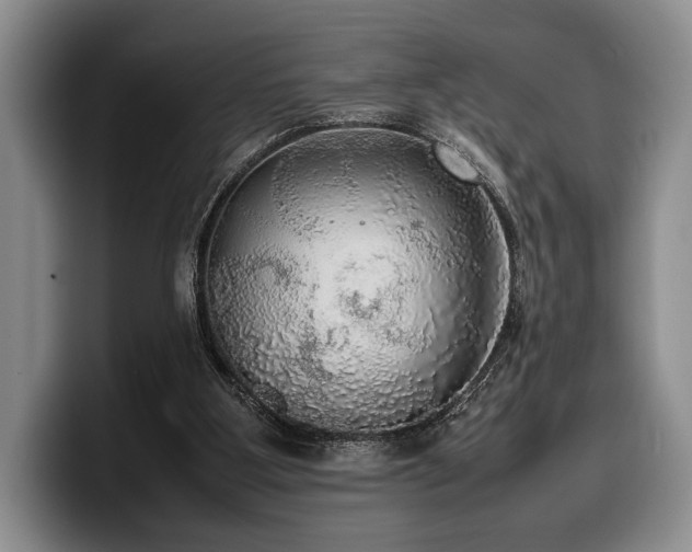 X0000100310107200806051504