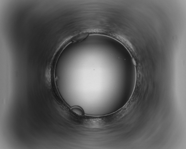 X0000100310108200806051504