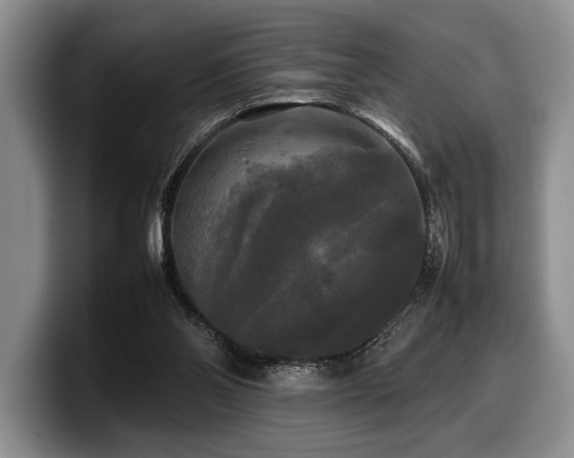 X0000100310110200806051504