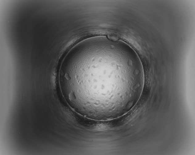 X0000100310111200806051504