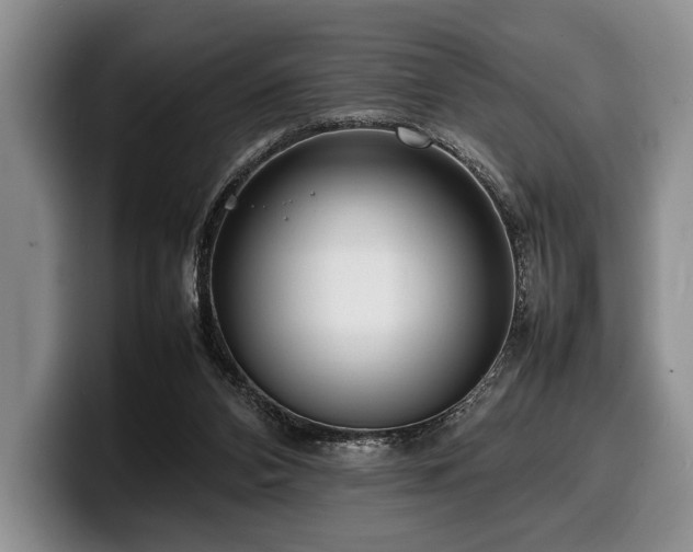 X0000100310112200806051504
