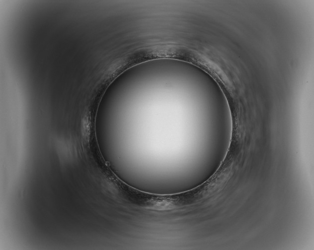 X0000100310113200806051504
