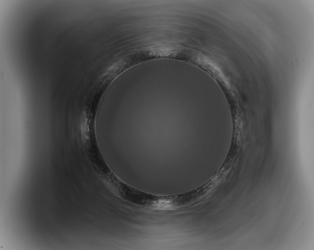 X0000100310114200806051504
