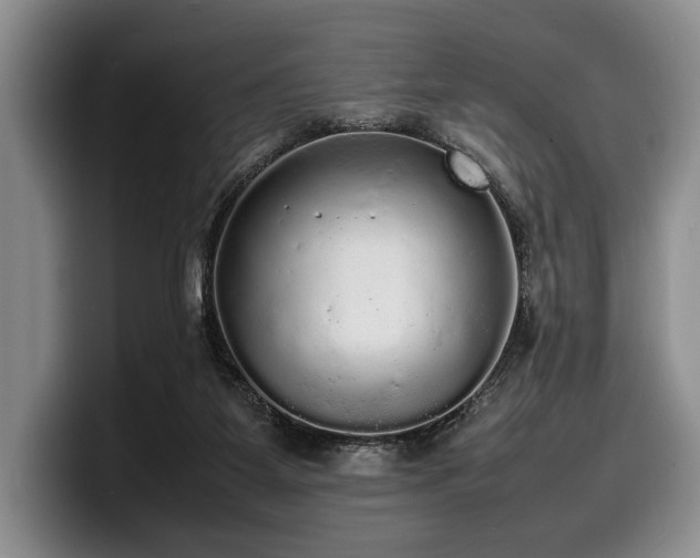 X0000100310115200806051504