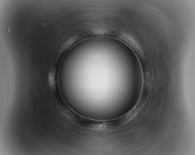 X0000100310116200806051504